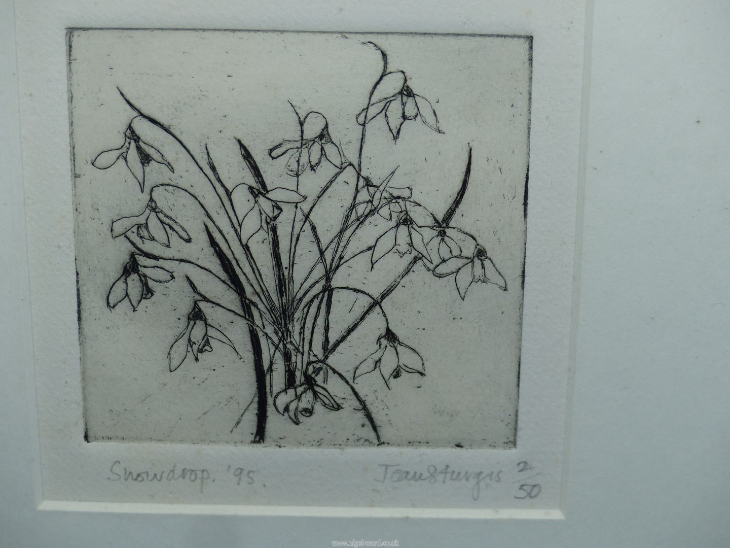 A pair of etchings by Jean Sturgis, Honeysuckle and snowdrop, pencil signed. - Image 3 of 3