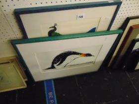 Two signed prints, Peacock and Penguin one framed other a.