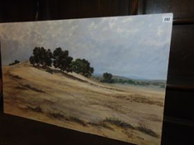 An oil on board, African landscape, Zambia, signed by Gabriel Ellison,