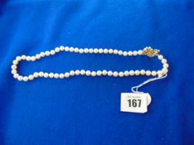 A Pearl necklace with 14ct Gold clasp
