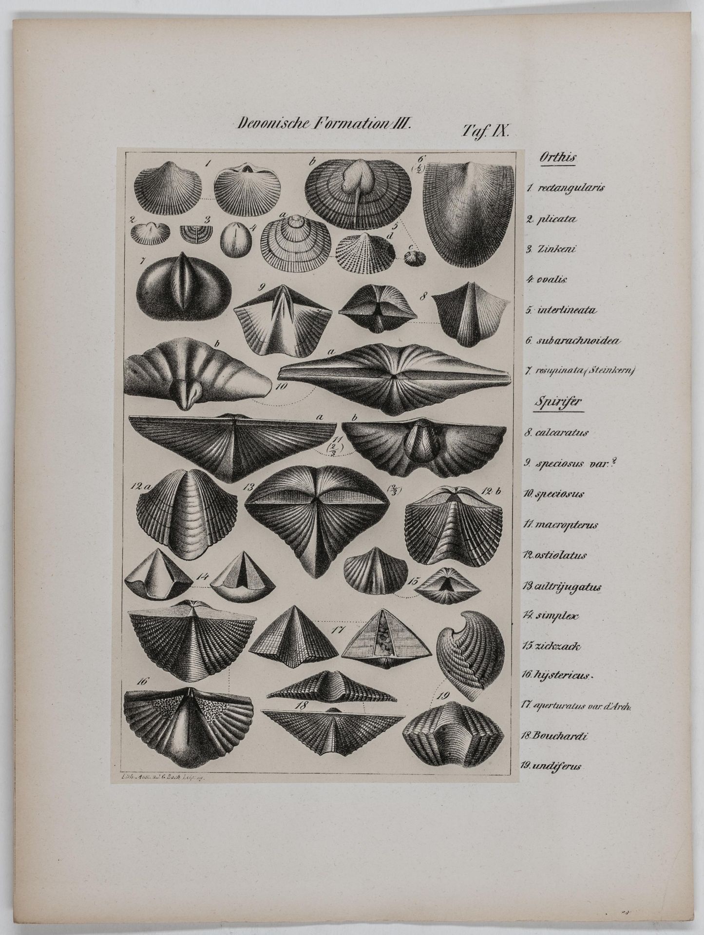 Geologie - - Naumann, Carl Friedrich. - Image 4 of 6