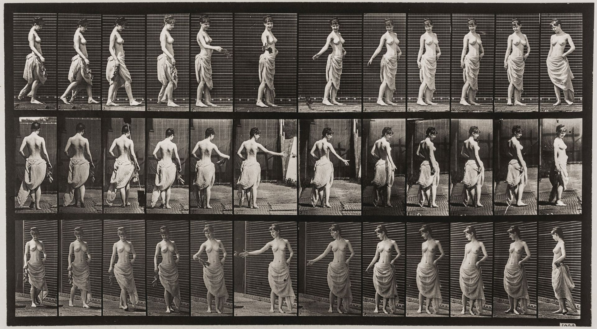 Muybridge, Eadweard. Semi-nude woman