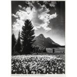 Alpen - - Baumann, Ernst. Album