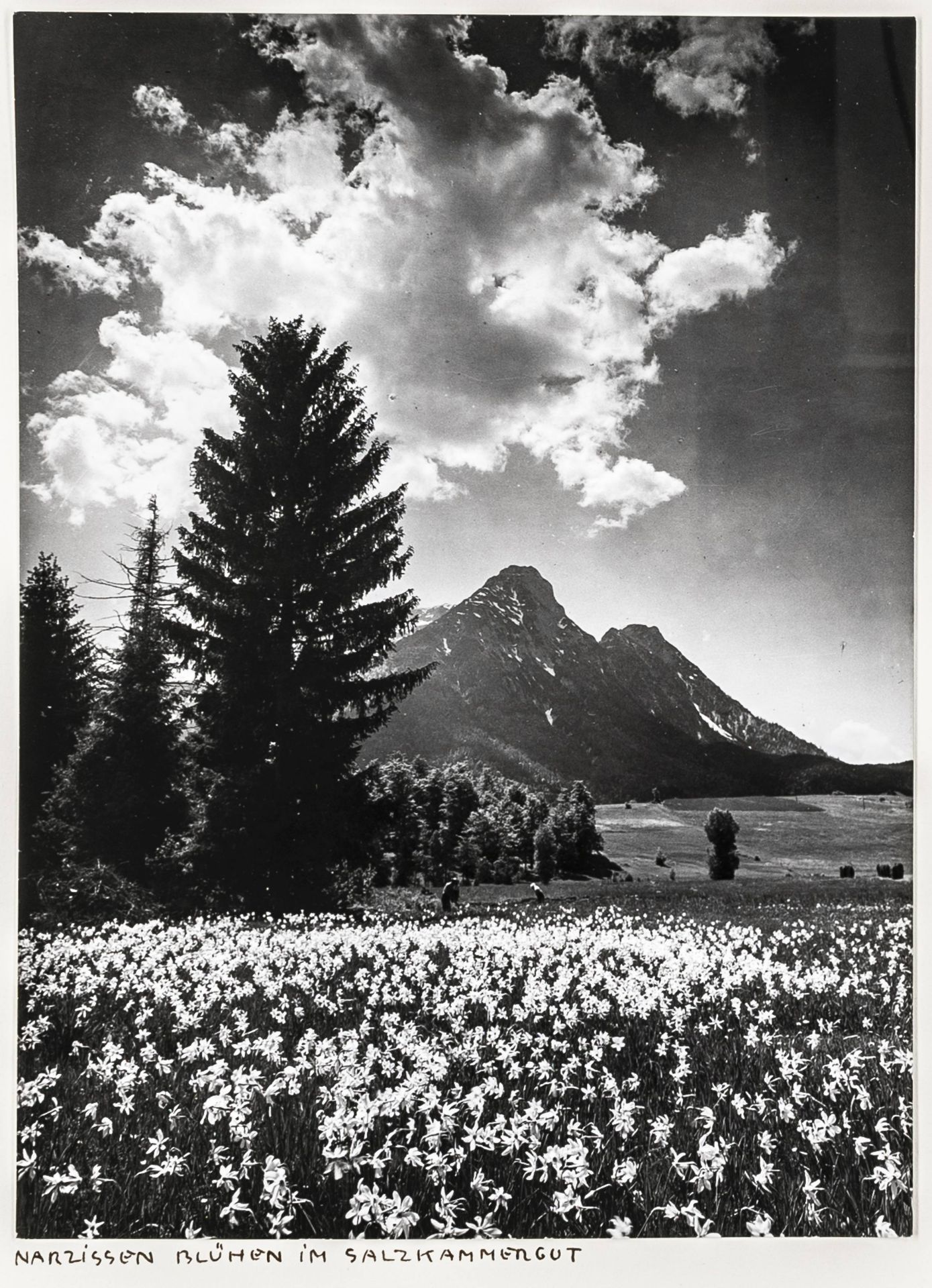 Alpen - - Baumann, Ernst. Album