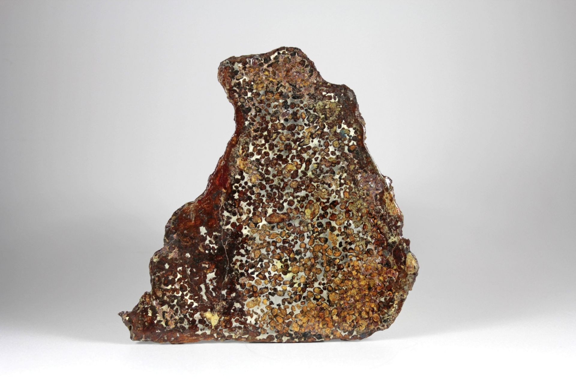 Große Scheibe eines Steineisenmeteoriten Pallasit
