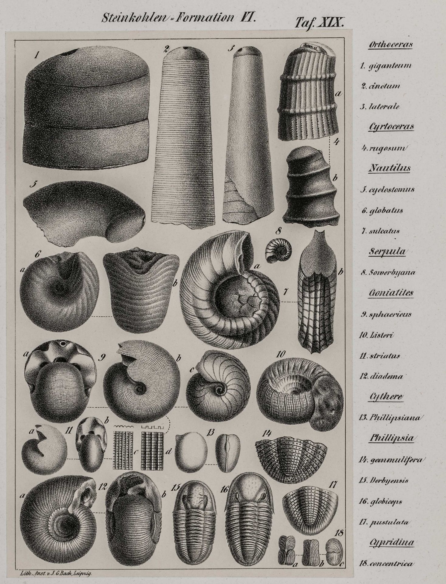 Geologie - - Naumann, Carl Friedrich. - Image 3 of 6