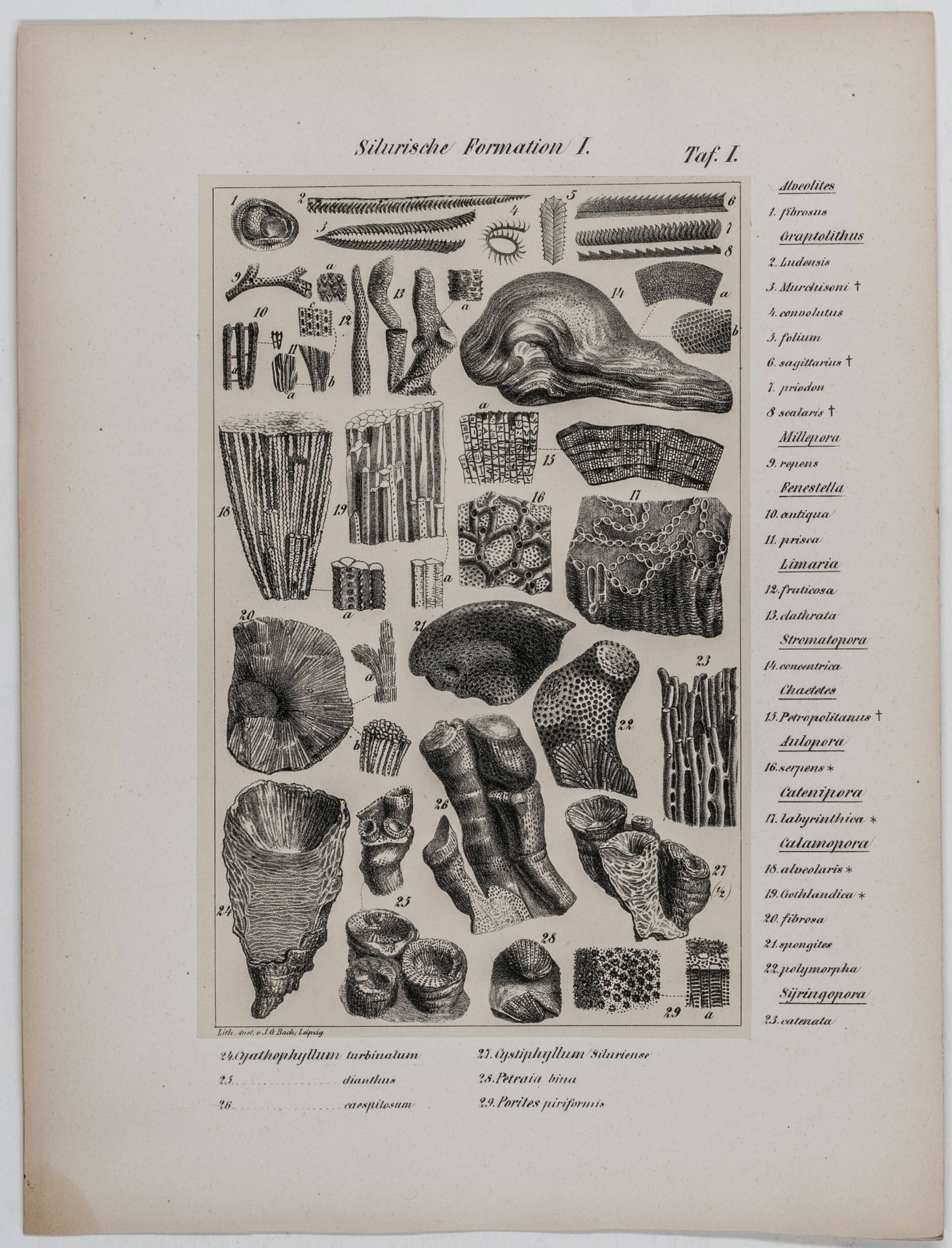 Geologie - - Naumann, Carl Friedrich. - Image 6 of 6