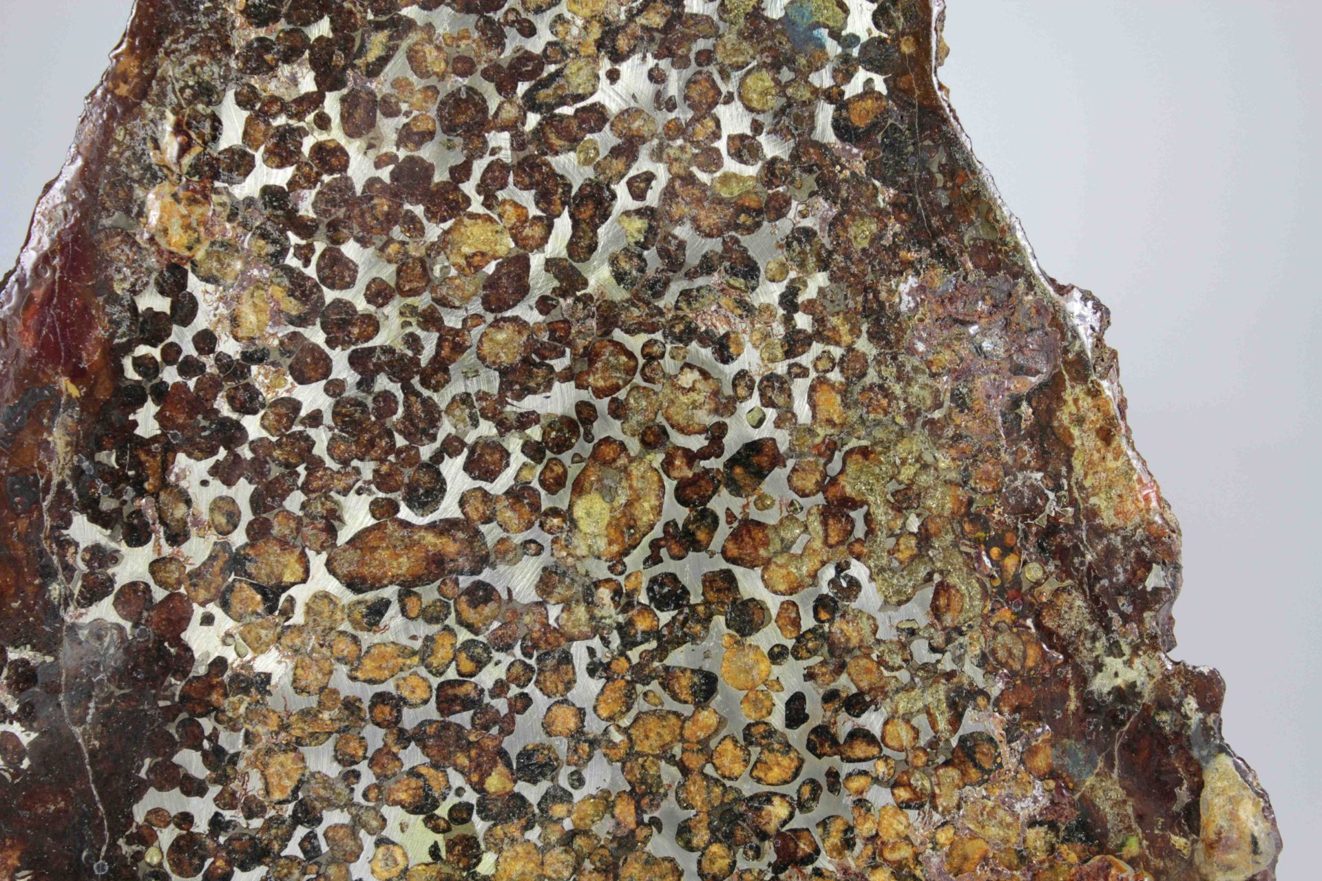 Große Scheibe eines Steineisenmeteoriten Pallasit - Bild 3 aus 3