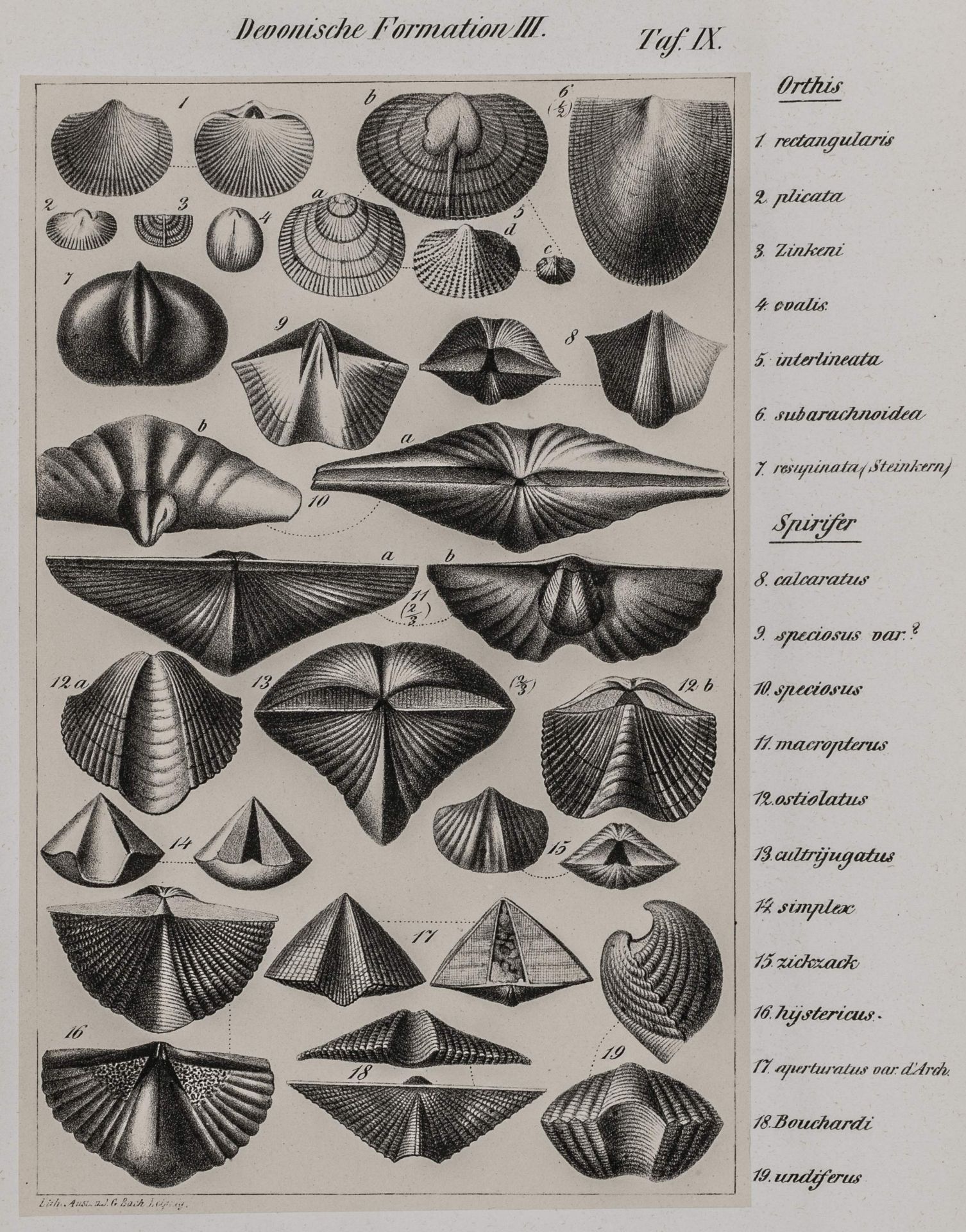 Geologie - - Naumann, Carl Friedrich. - Image 2 of 6