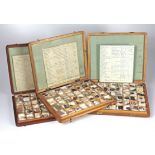 Mineraliensammlung. Südamerika, um 1930, drei Holzkästen mit Einteilung für 143 verschiedene