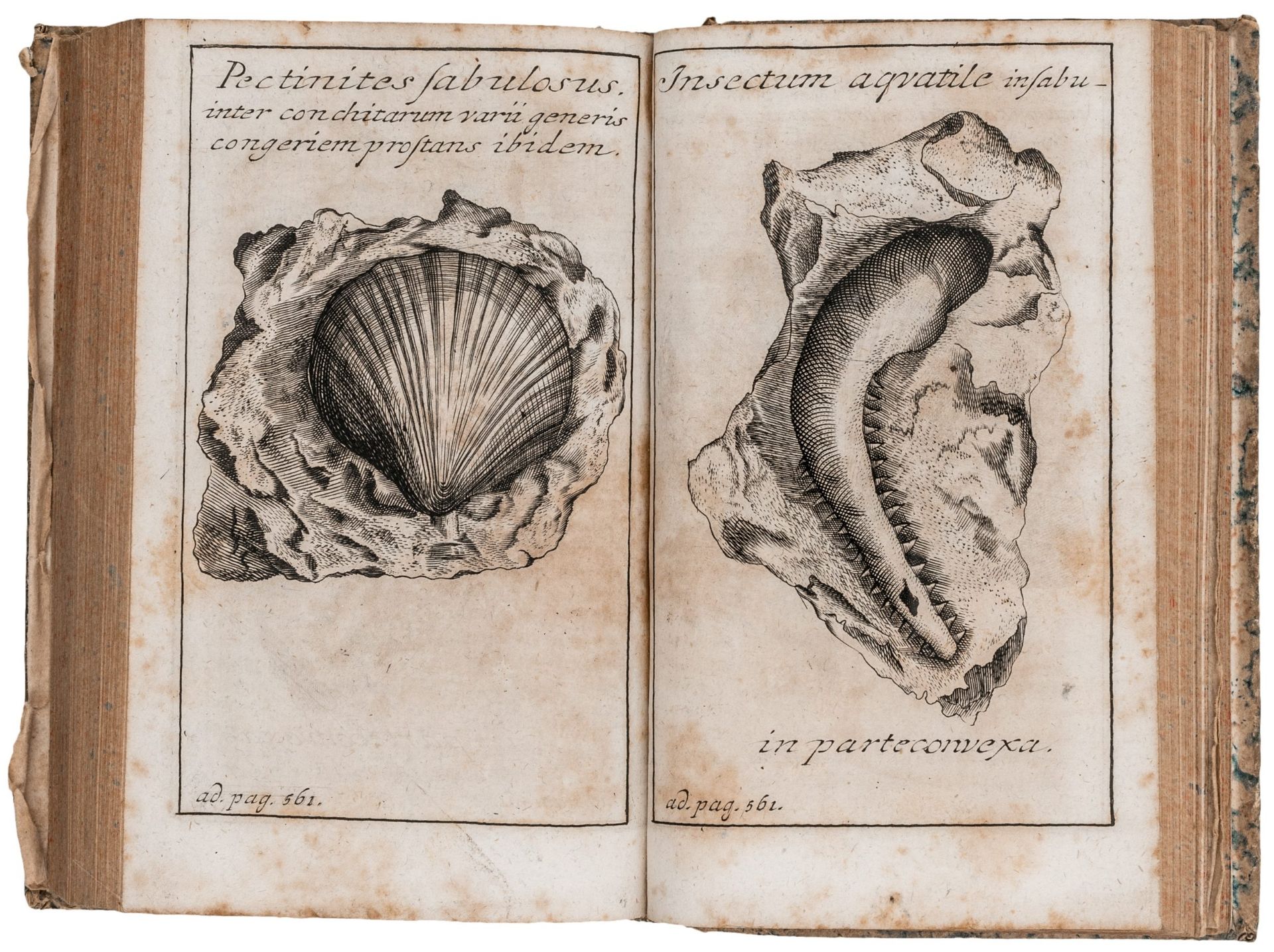 Mineralogie - Henckel, Johann - Bild 3 aus 3