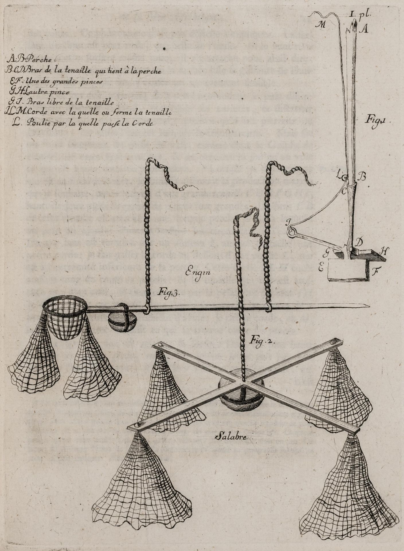 Biologie - Zoologie - Ellis, John. - Bild 3 aus 4