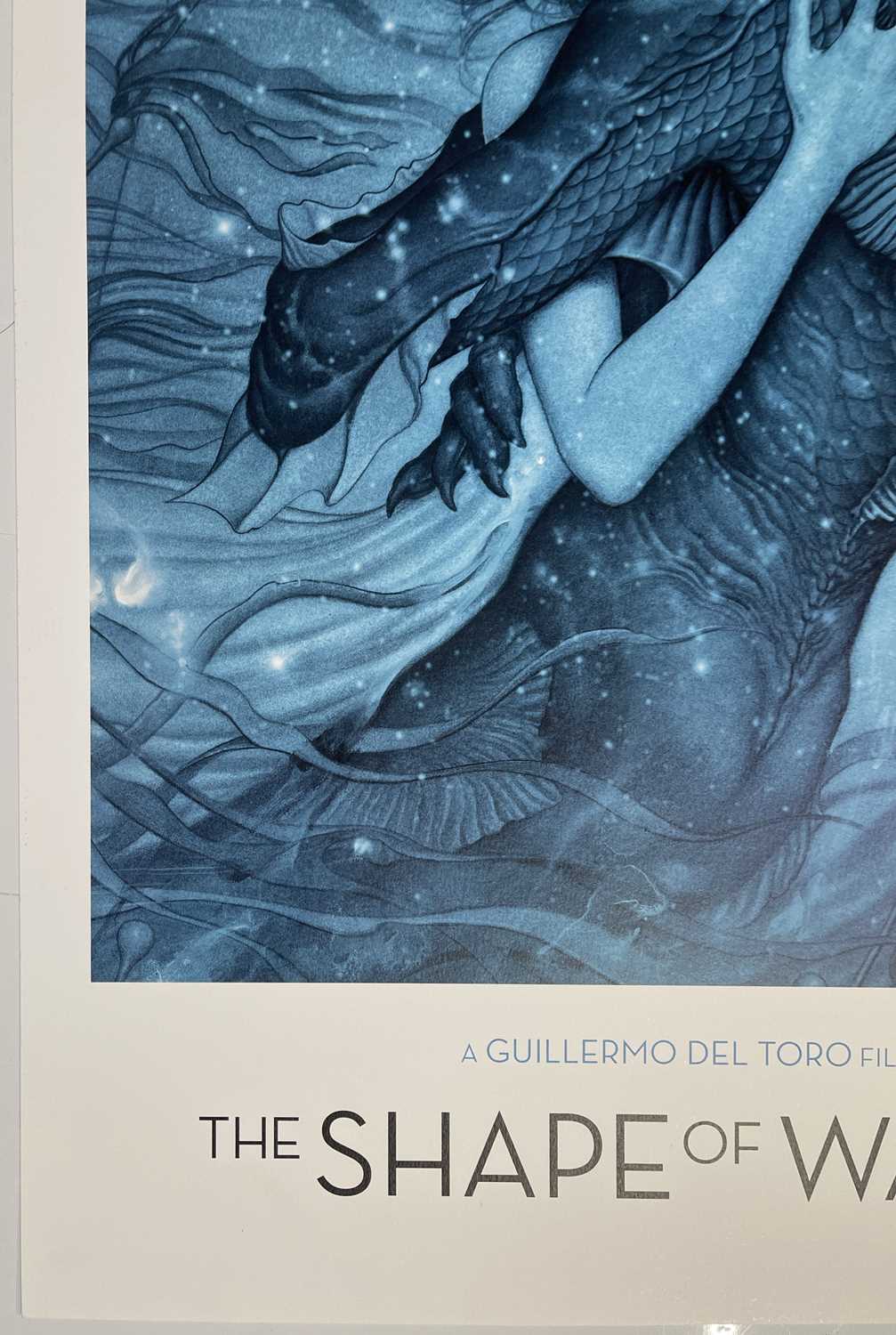 GUILLERMO DEL TORO - SHAPE OF WATER (2017) - LIMITED EDITION VENICE FILM FESTIVAL ONLY POSTER. - Image 4 of 6
