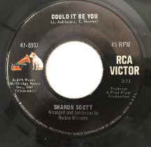 SHARON SCOTT - COULD IT BE YOU/ I'D LIKE TO KNOW 7" (US NORTHERN - RCA - 47-8907)