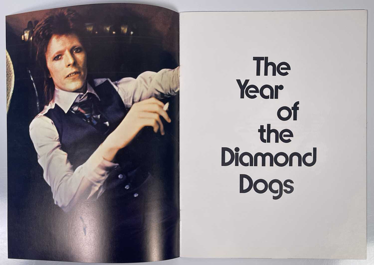 DAVID BOWIE - DIAMOND DOGS US PROGRAMME AND STICKER. - Image 3 of 9