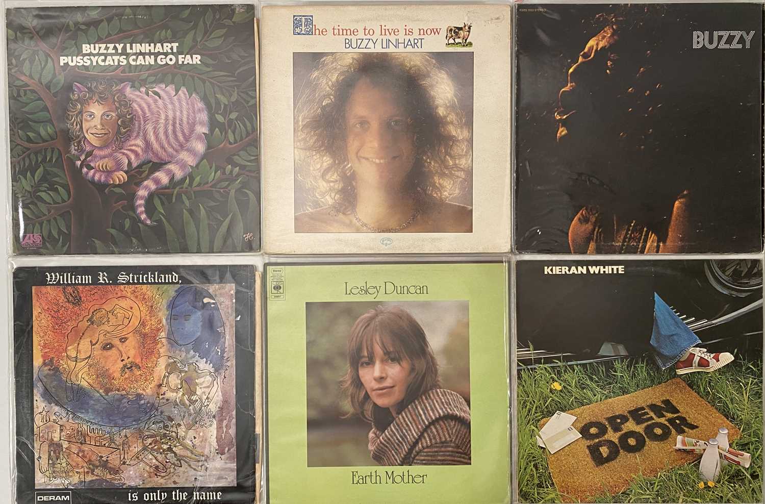 FOLK/ FOLK ROCK/ SINGER-SONGWRITER - LP COLLECTION - Image 2 of 9