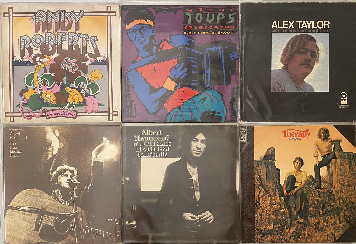 FOLK/FOLK-ROCK/SINGER-SONGWRITERS - LPs - Image 3 of 8