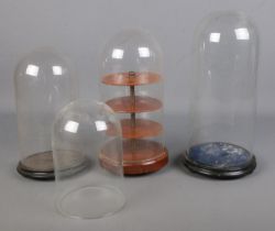 Three glass display domes including example featuring four tiered display. Also includes loose glass