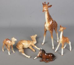 A small collection of Beswick animals. Includes Giraffe & Giraffe calf, Camel and Camel calf and a