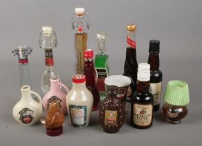 A collection of assorted alcohol miniatures to include cherry ardo, coffee liquor, ginger cordial