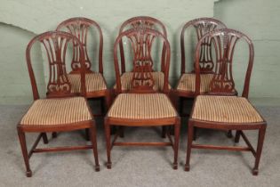 A set of six Hepplewhite style dining chairs.