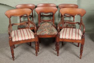 A set of six Victorian carved bar back dining chairs including two carvers.