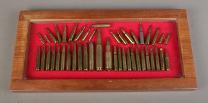 A cased ammunition display featuring varying types and calibers to include .500, 300 Magnum,