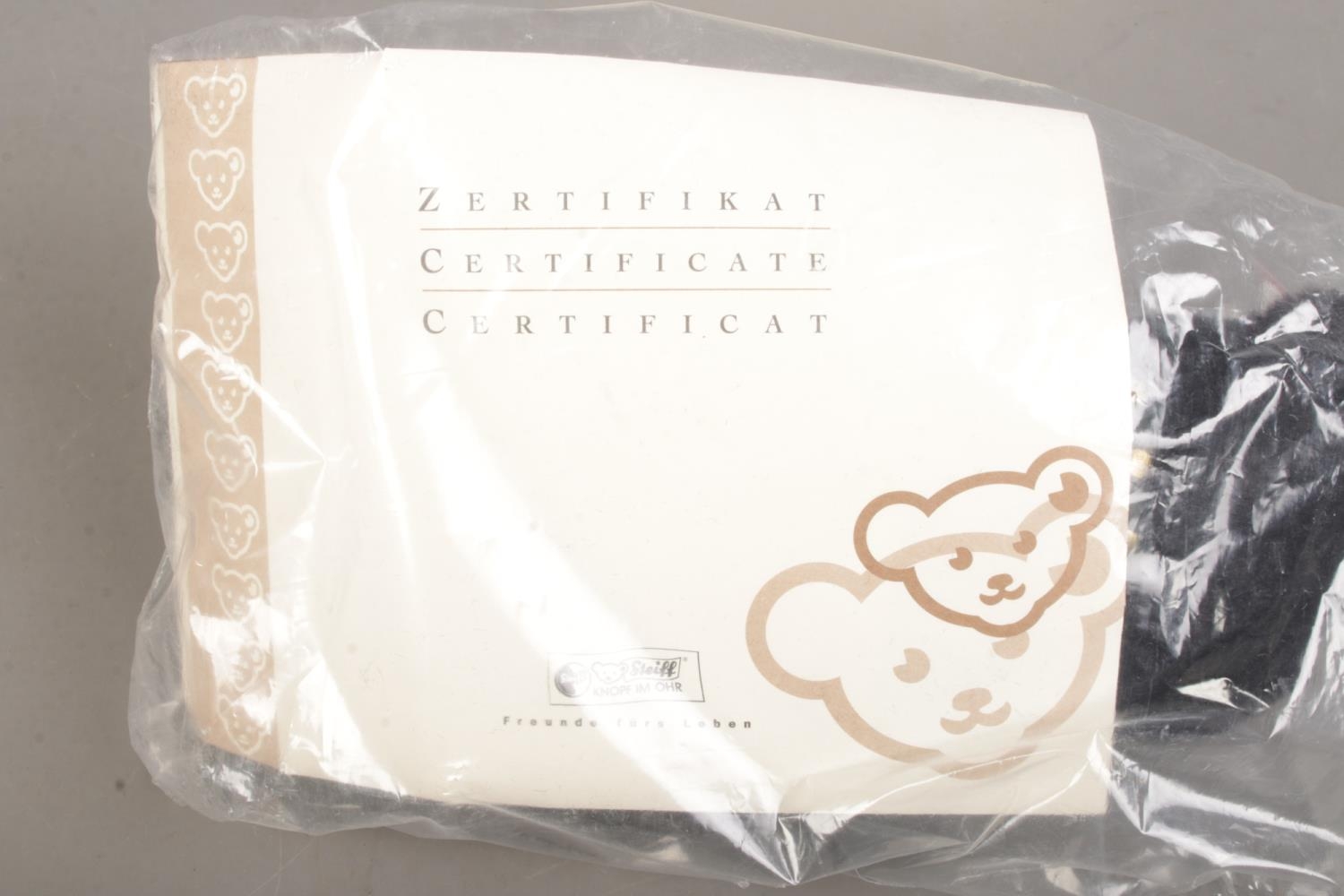 A boxed and sealed Steiff Teddy Bear: Jack the Alpaca Bear number 662546 with certificate of - Image 2 of 2