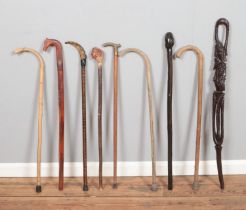 A collection of walking sticks, to include carved, figural and 'Aruba' examples.