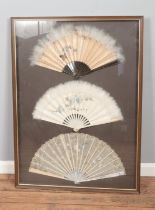 A framed display of three oriental hand fans to include feathered and lace examples. Approx.