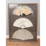 A framed display of three oriental hand fans to include feathered and lace examples. Approx.