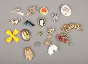 A collection of costume jewellery brooches including cat, owl and floral designs.