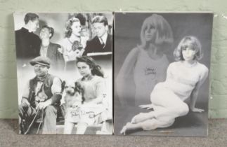 Joanna Lumley and Mickey Rooney autographed box canvas portraits with certificates of authenticity.