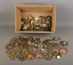 A good collection of assorted horse brasses to include Queen Victoria's diamond jubilee,