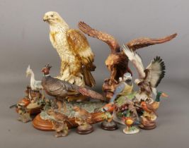 A collection of bird figurines including large eagles, Animal Kingdom fine porcelain examples, small