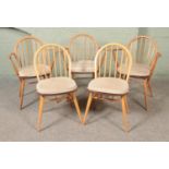 A harlequin set of five dining chairs, to include three Ercol Windsor elbow examples; model 370, for