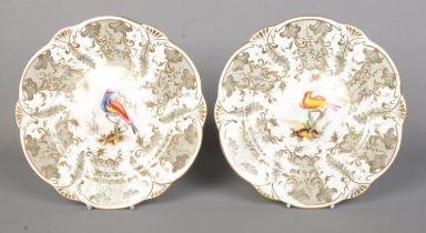 A pair of Rockingham dessert plates decorated with hand painted exotic birds in the manner of John