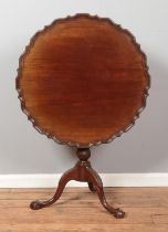 A Georgian style carved mahogany tilt top table with pie crust top and raised on three ball and claw