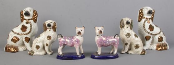 A collection of 19th century pottery dog figures. Includes a pair of lustre pug figures and two