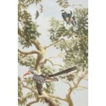 C.E. Talbot Kelly (British 1927-) "Hornbill and Swallows"