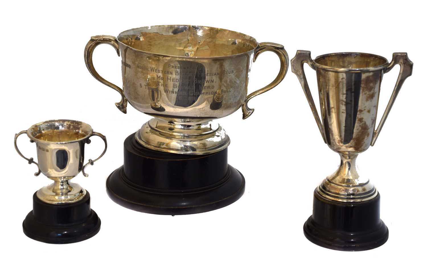 Three silver twin handled trophies,