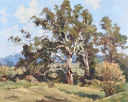 Rhys Williams (Australian 1894-1976) "White Gum Trees"