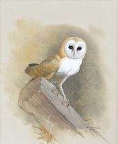 James Fenwick Lansdowne (Canadian 1937-2008) "Barn Owl"