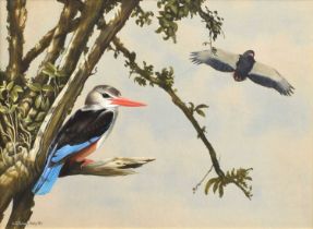 C.E. Talbot Kelly (British 1927-) "Grey Kingfisher and Bateleur Eagle"