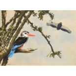 C.E. Talbot Kelly (British 1927-) "Grey Kingfisher and Bateleur Eagle"