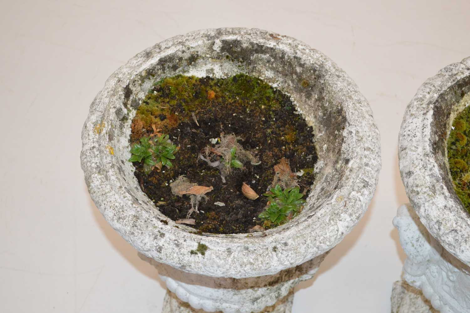 Pair of Painted Concrete Pedestal Urns - Image 3 of 5