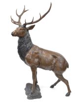 Large and Impressive Near Life-Size Bronze Stag