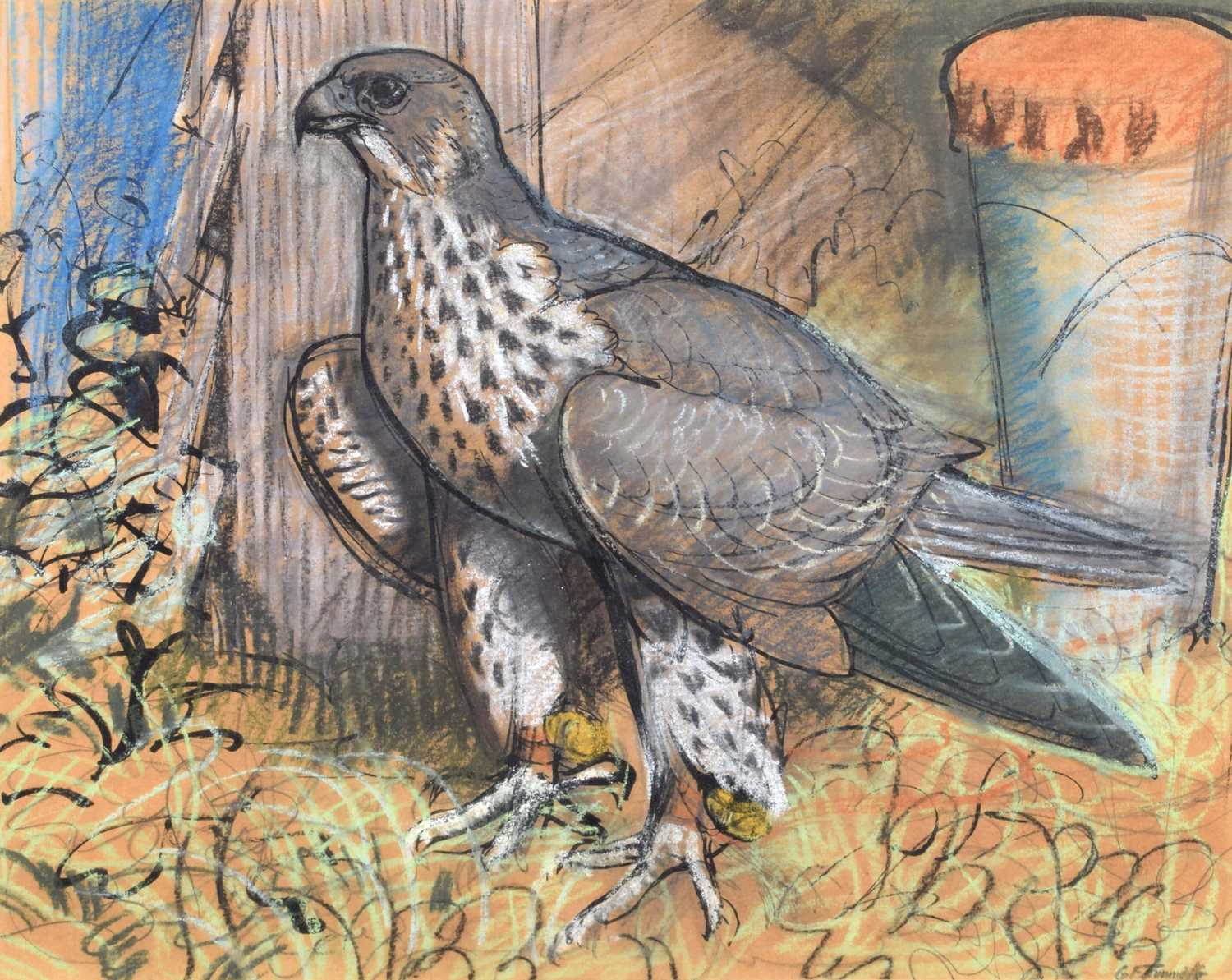 Charles Frederick Tunnicliffe (British 1901-1979) "Peregrine Falcon"