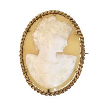 A shell cameo brooch,