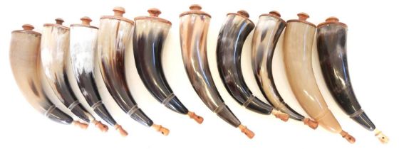 Ten modern powder horns with turned wood tops and stoppers. The largest measures 31cm long